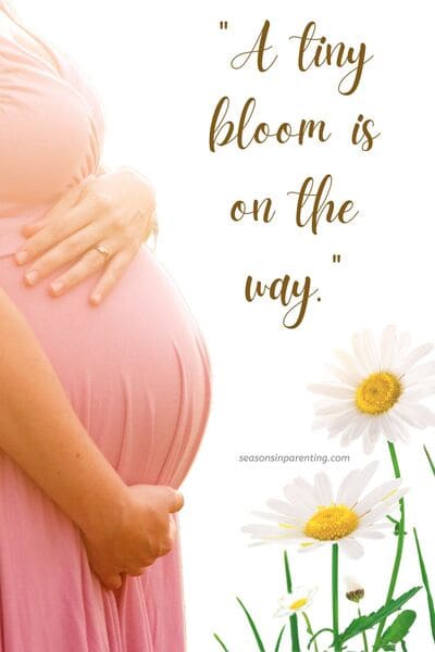 spring baby announcement quotes: pregnant woman with daisies and quote