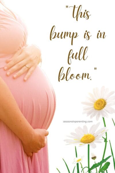 spring baby announcement quotes: pregnant woman with daisies and quote