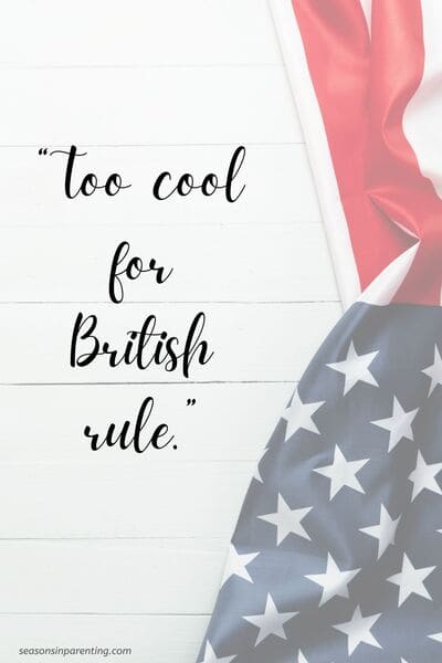 baby first 4th of July quotes: American flag with quote